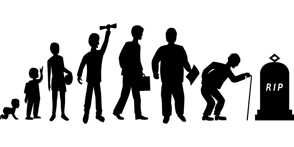 character development