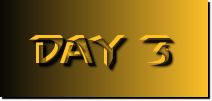day 3