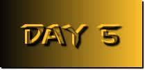 day 5