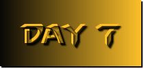 day 7